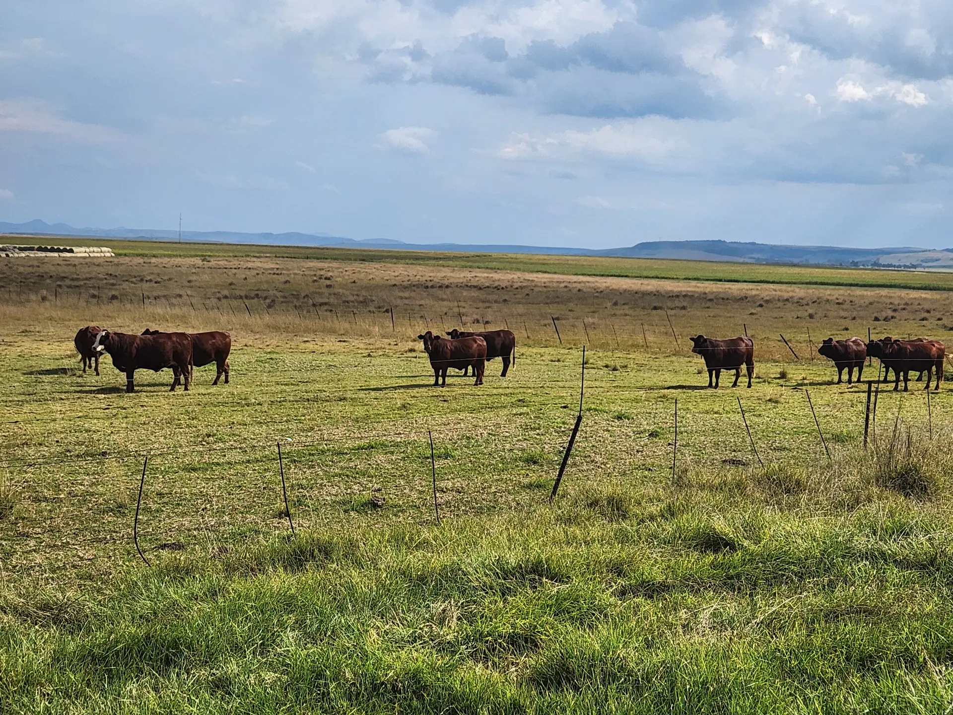 Veld Wyser farm